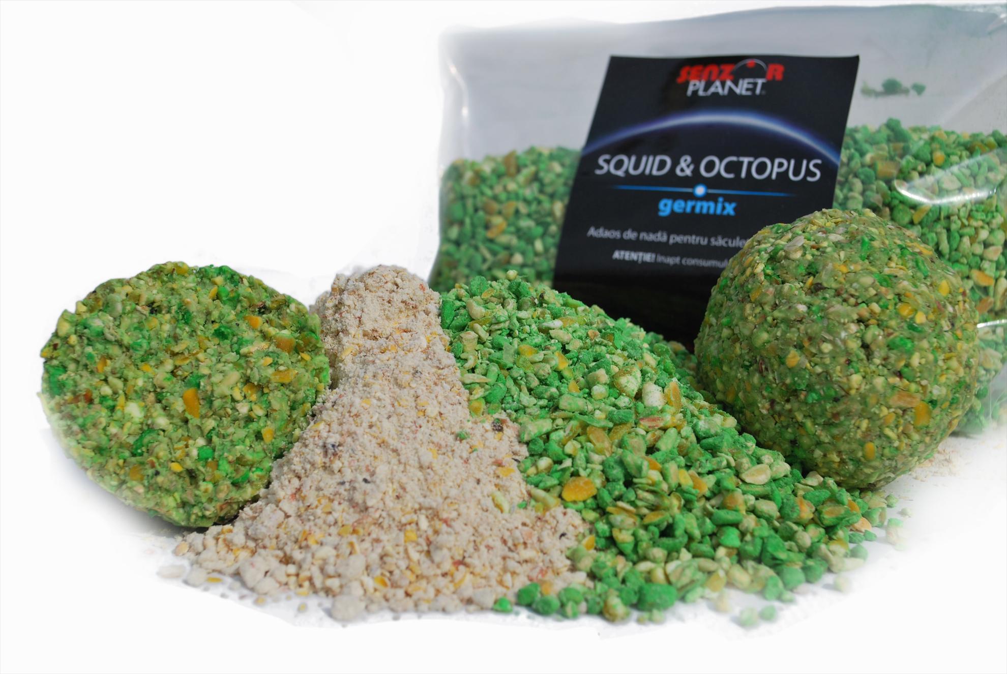 AMESTECURI NADIRE - germix-squid-octopus.jpg